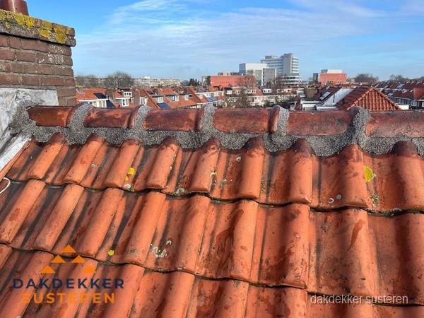 Pannendak met nokvorst en schoorsteen, dakrenovatie in Susteren Pannendak met nokvorst en schoorsteen, dakrenovatie in Susteren