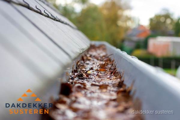 Verstopte dakgoot met bladeren schoonmaken in Susteren