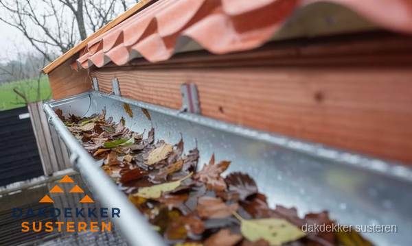 Dakgoot vol bladeren die gereinigd moet worden in Susteren Dakgoot vol bladeren die gereinigd moet worden in Susteren