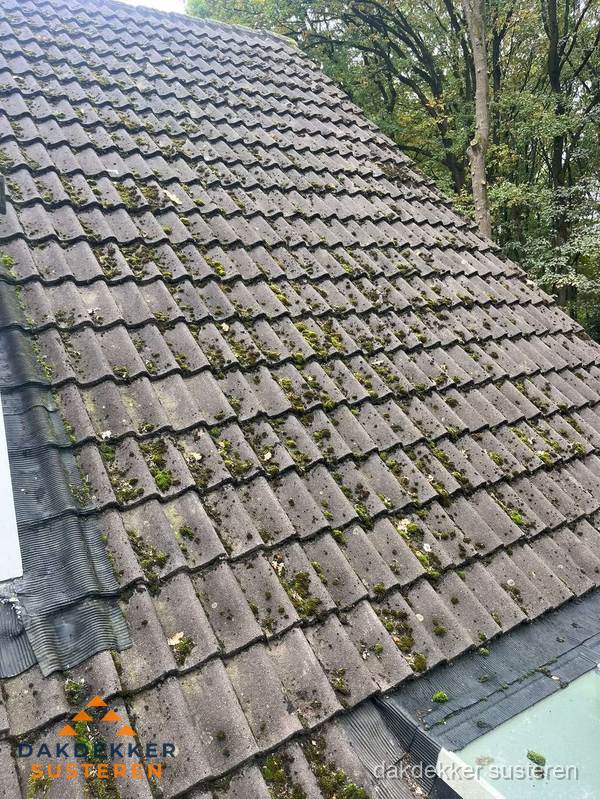Verweerd pannendak met mosgroei dat renovatie nodig heeft in Susteren