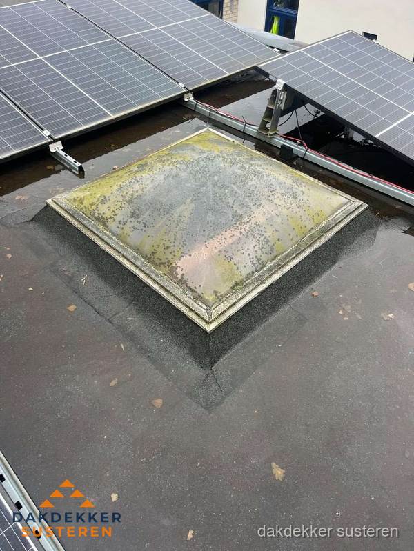 Vervuilde lichtkoepel op plat dak met zonnepanelen in Susteren Vervuilde lichtkoepel op plat dak met zonnepanelen in Susteren