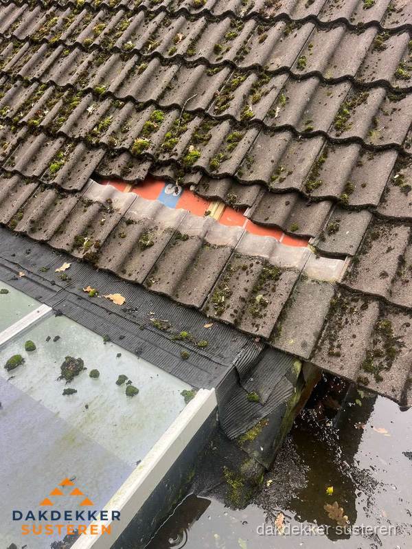 Beschadigd pannendak met ontbrekende dakpannen voor reparatie in Susteren Beschadigd pannendak met ontbrekende dakpannen voor reparatie in Susteren