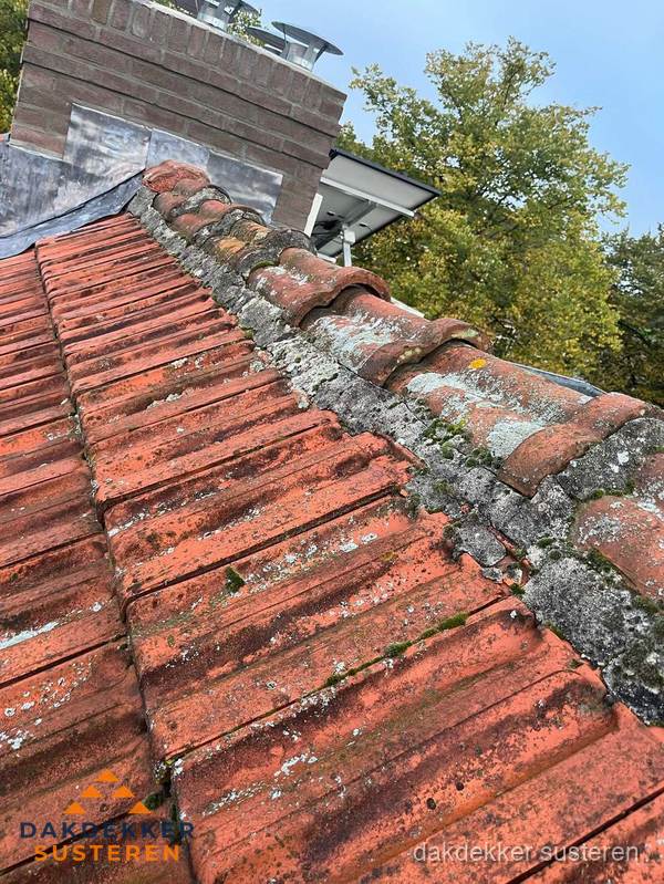 Verweerd hellend dak met mosgroei op nokvorst in Susteren Verweerd hellend dak met mosgroei op nokvorst in Susteren